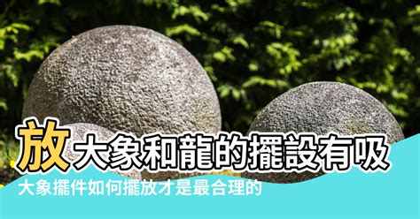 大象 風水作用|【象的風水擺放】放大象和龍的擺設有吸財作用 